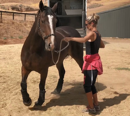 horse training to increase your horsemanship skills including groundwork and horse riding lessons with About Australia Horsemanship and Norm Glenn