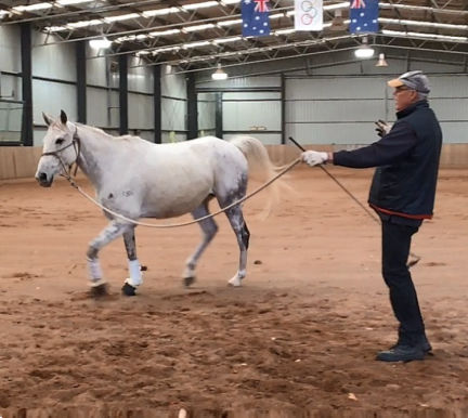 Ground work exercises with About Australia Horsemanship and Norm Glenn